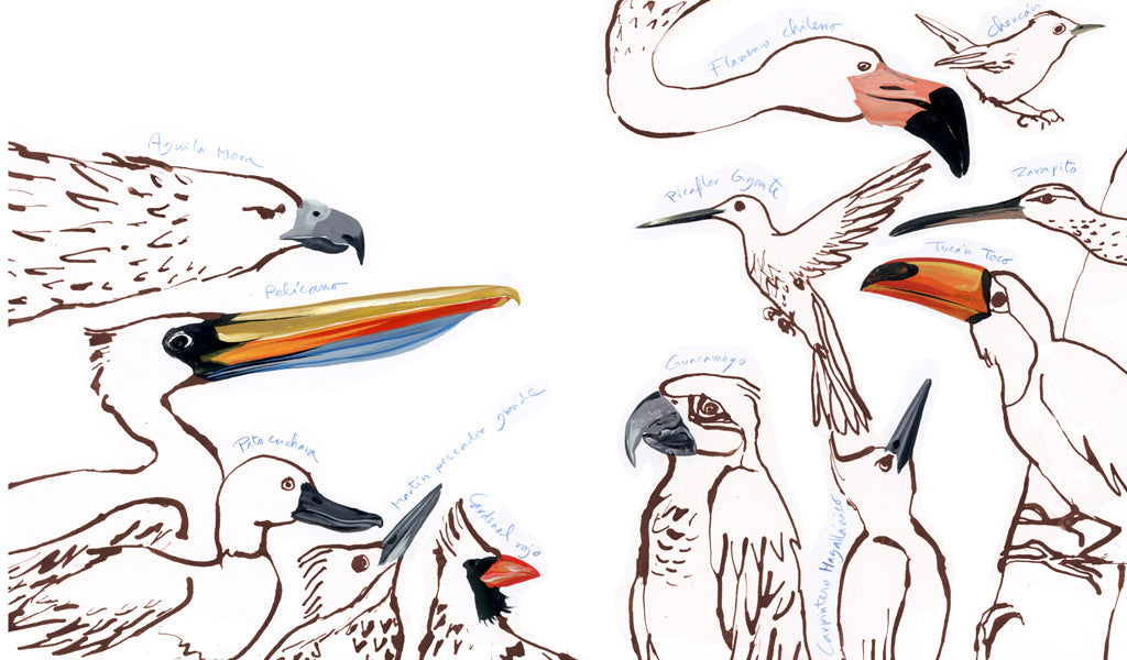 PÁJAROS REALES E IMAGINARIOS