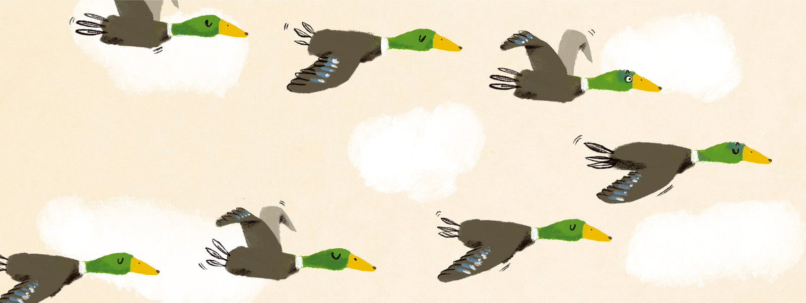 Novedades 1er semestre 2026