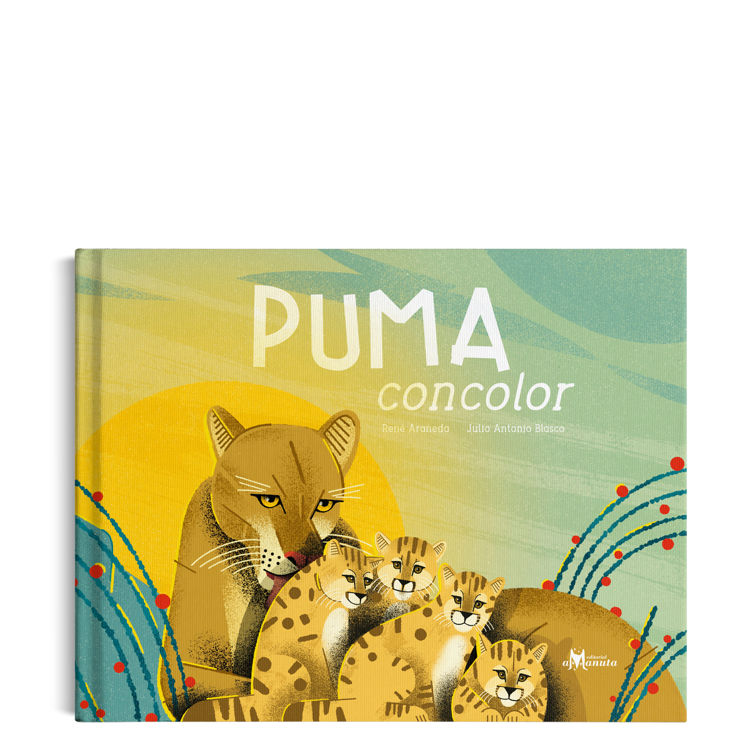 Puma concolor