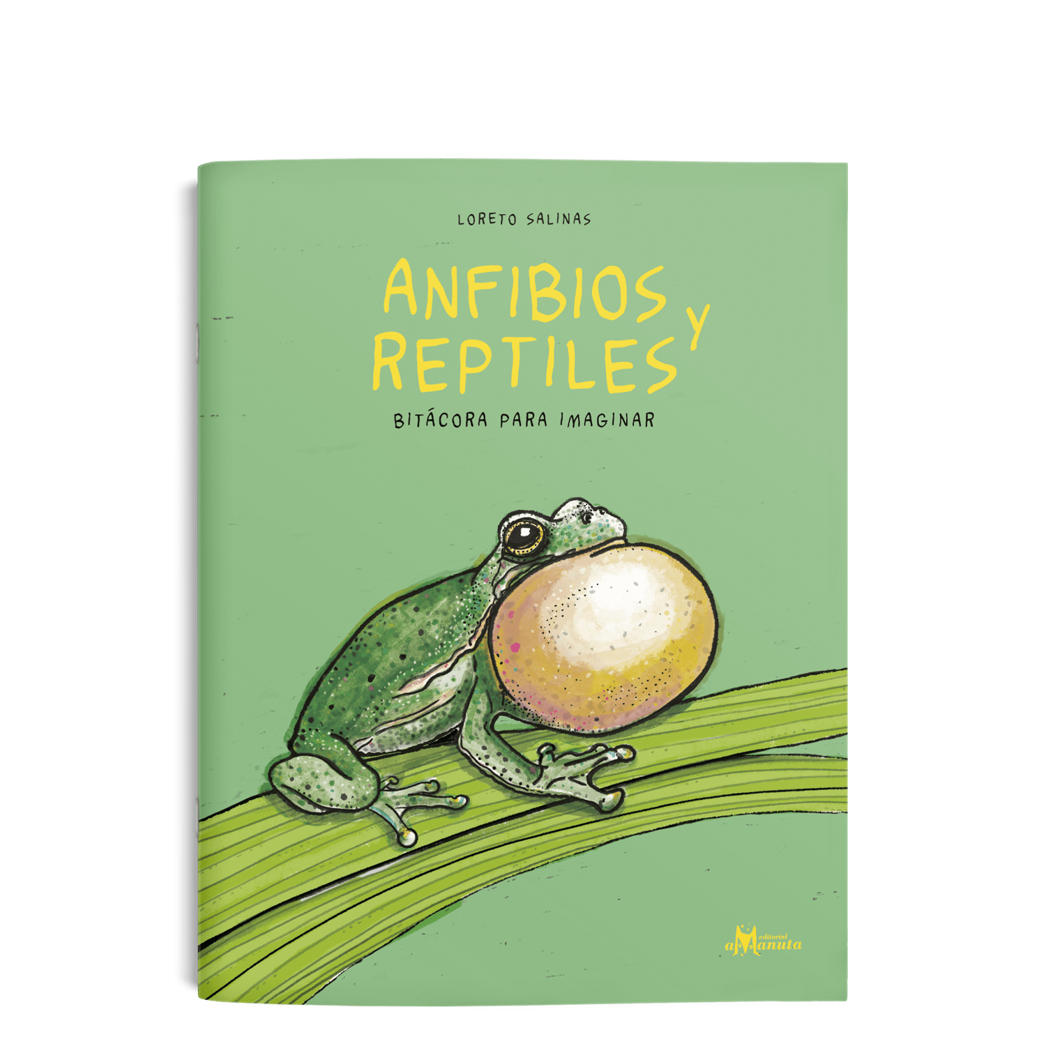 Anfibios y reptiles, bitácora para imaginar