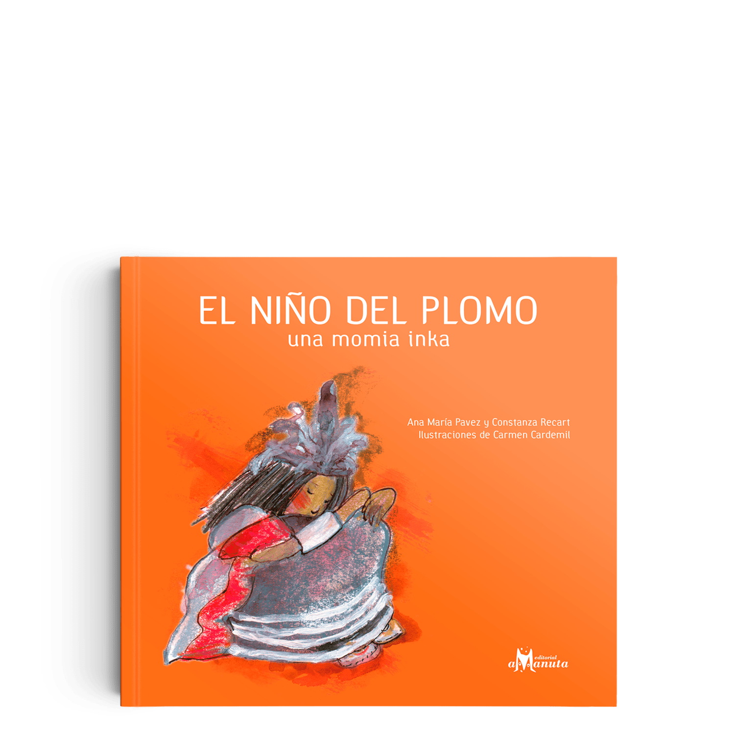 El niño del Plomo